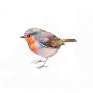 Meet your Posher, Robin